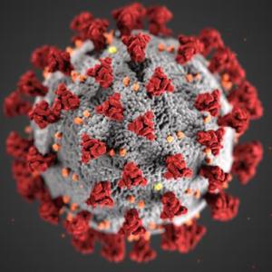 Coronavirus Image2